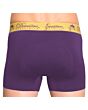 Shorty Derriere Equestrian Padded Heren