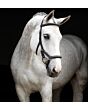 Rambo® Micklem® Deluxe Competition Bridle