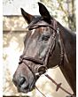 Equiline Hoofdstel Ready to go Jumping