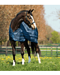 Horseware Liner 100 gram