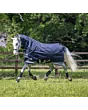LeMieux Arika Storm-Tek Turnout Rug 100g