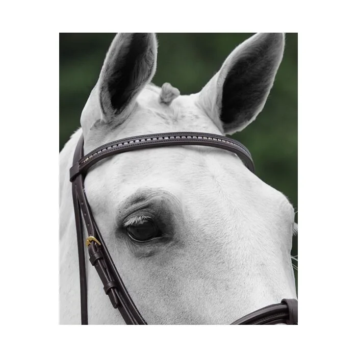 Passier Frontriem met Strass Staafjes 