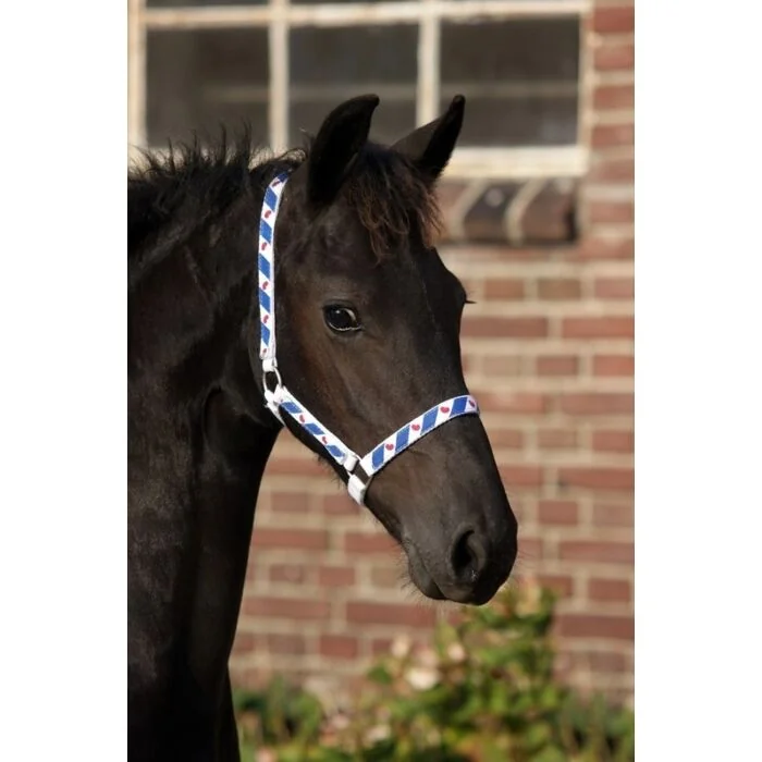 QHP Veulen Halster Fries