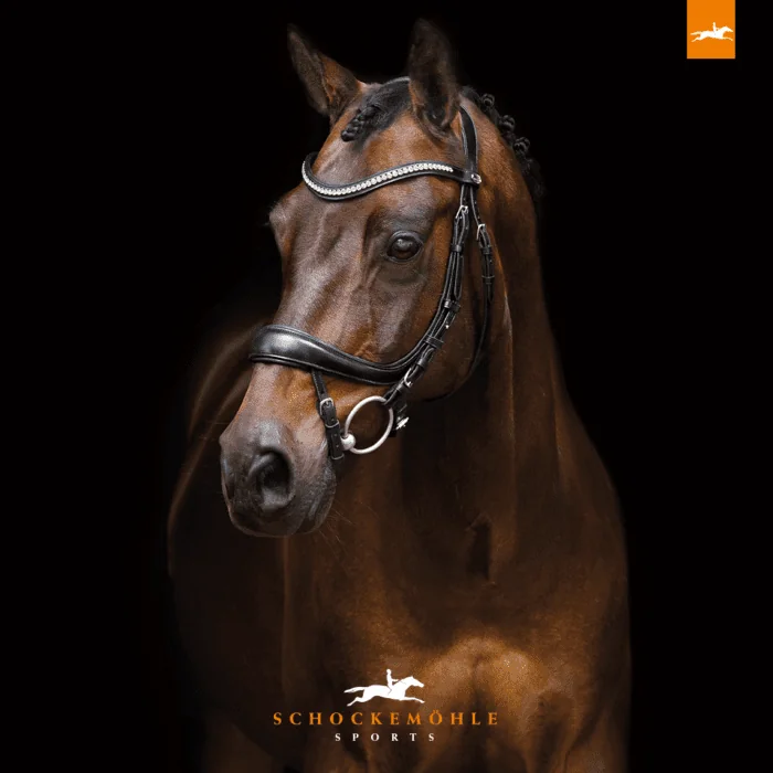 Schockemohle Hoofdstel Equitus Beta