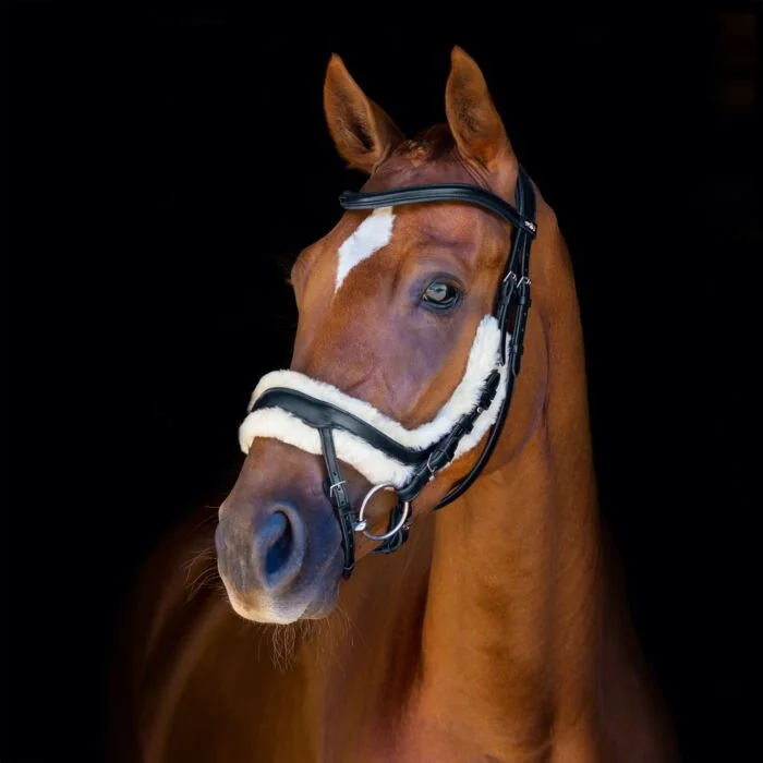 Schockemöhle Hoofdstel Equitus Zeta