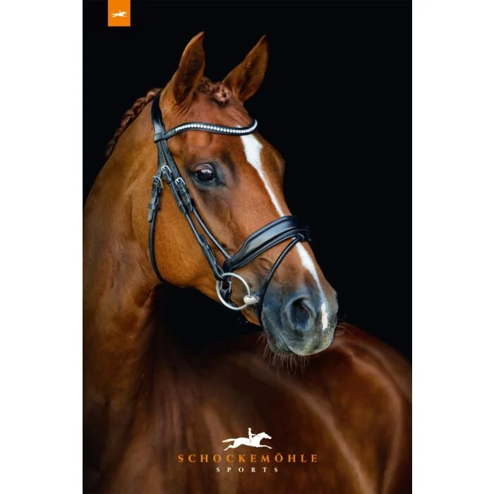 Schockemöhle rondgenaaid Hoofdstel Malibu