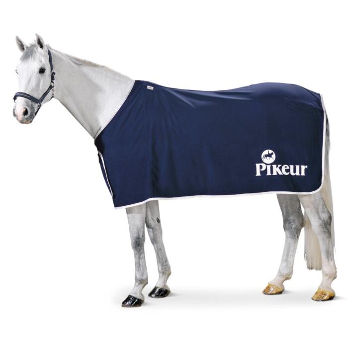 Eskadron Loden Statiedeken