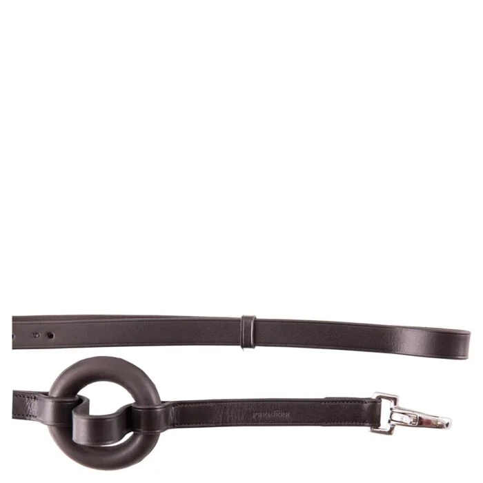 Premiere Bijzetteugels met Ringen