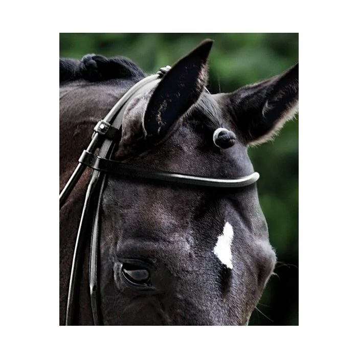 Passier Frontriem Rondgenaaid 