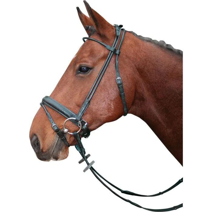 Harry's Horse Hoofdstel Luxe Rond aansnoerneusriem