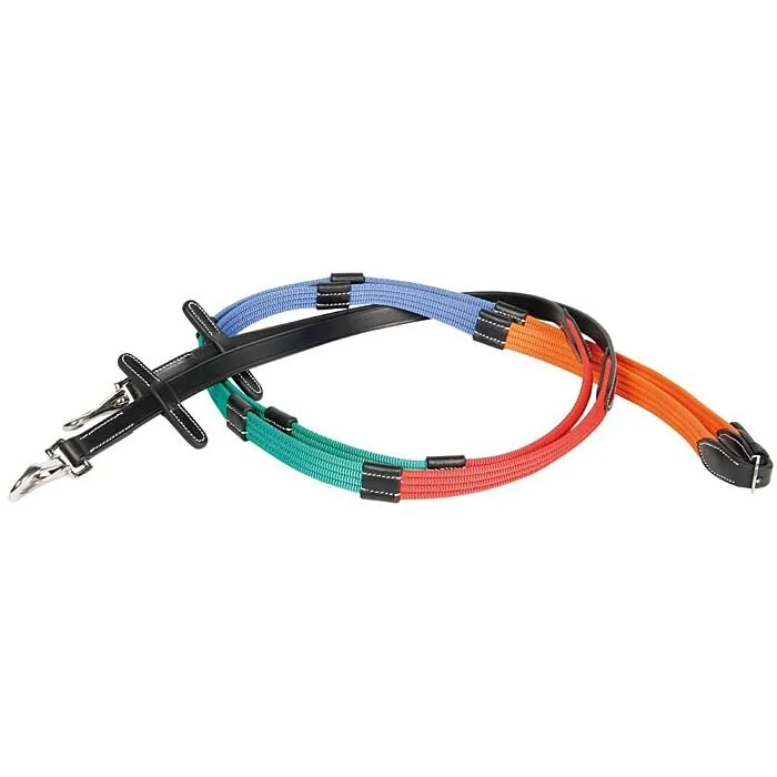 Harry's Horse Trainings Teugels, webband Multi color