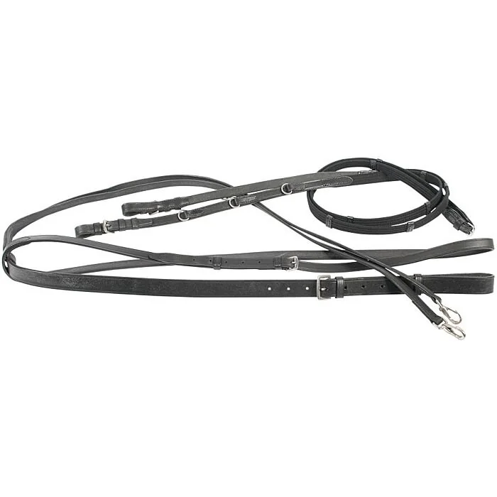 Harry's Horse Thiedemann Teugel 