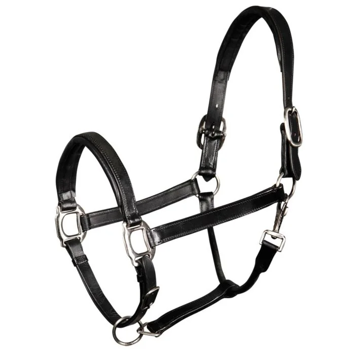 Harry's Horse leren Halster Padded