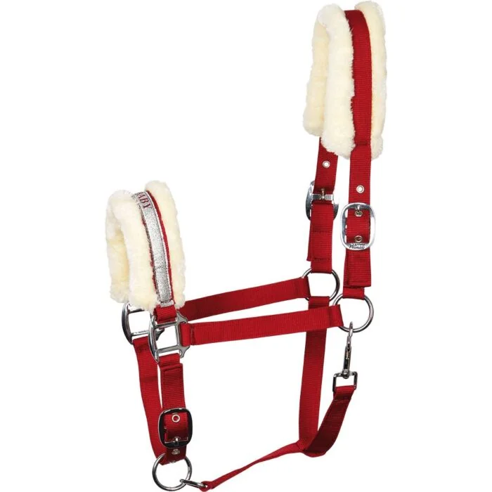 Harry's Horse Halster Lyrics V SUGER BABE