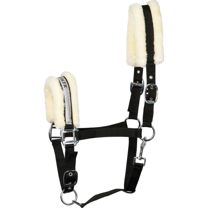 Harry's Horse Halster Lyrics V HORSE POWER