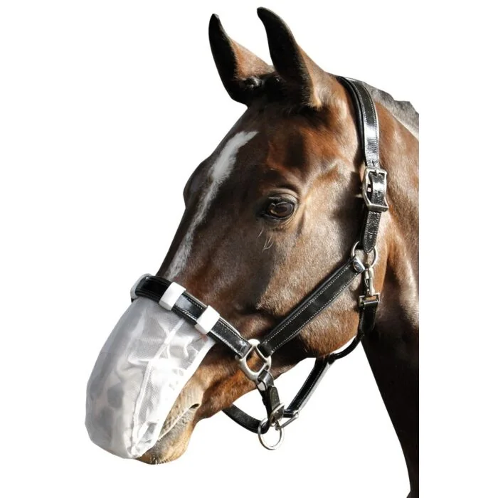 Harry's Horse Nose Net