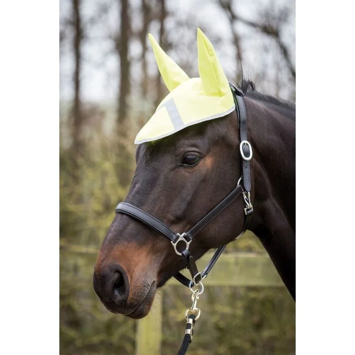 Harry's Horse Hood Refective