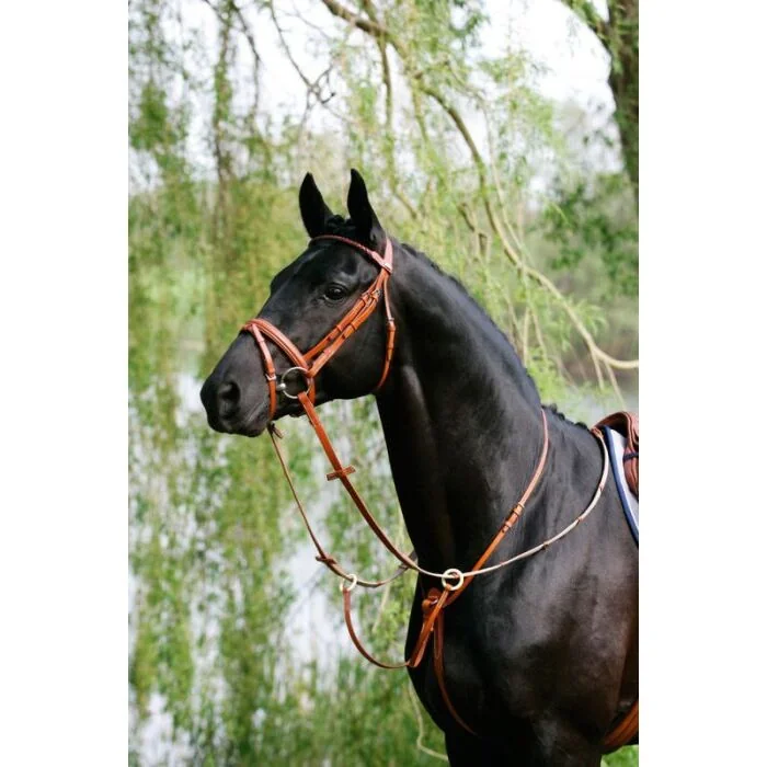 Stübben Ringmartingaal