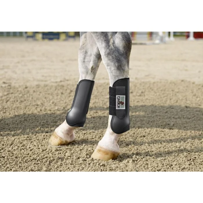 Eskadron Peesbeschermers Paard Achter