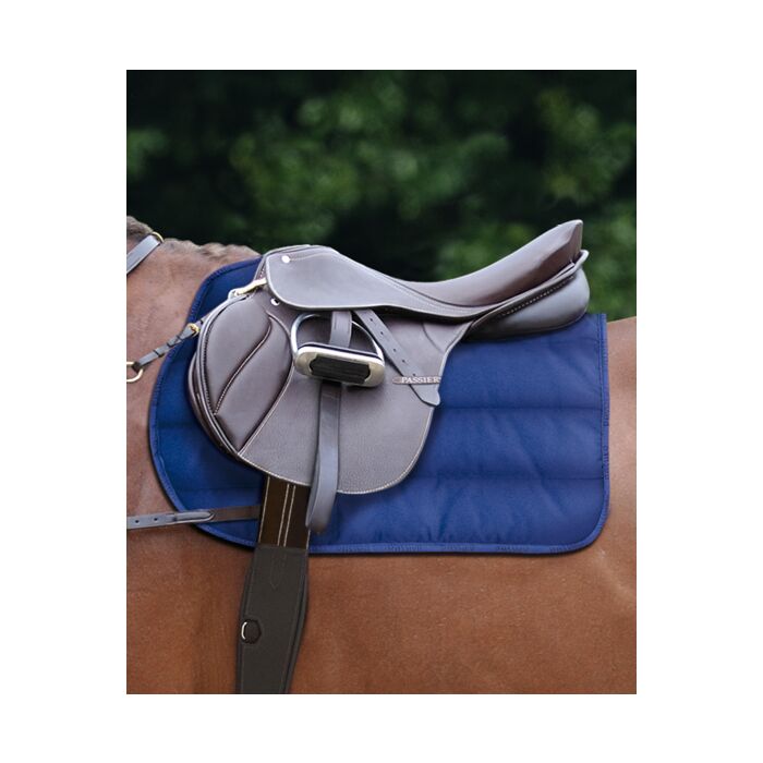 Passier FlexiPad Springen