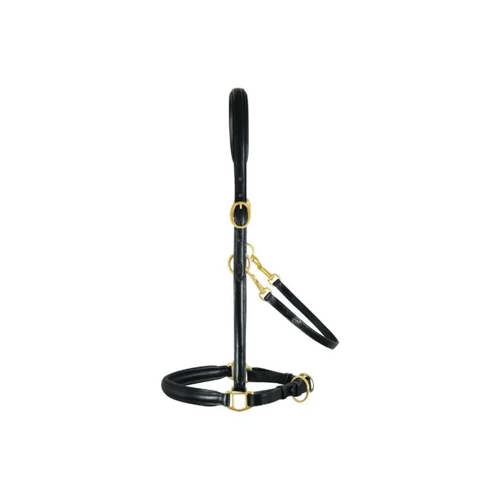 Passier Leren Stalhalster