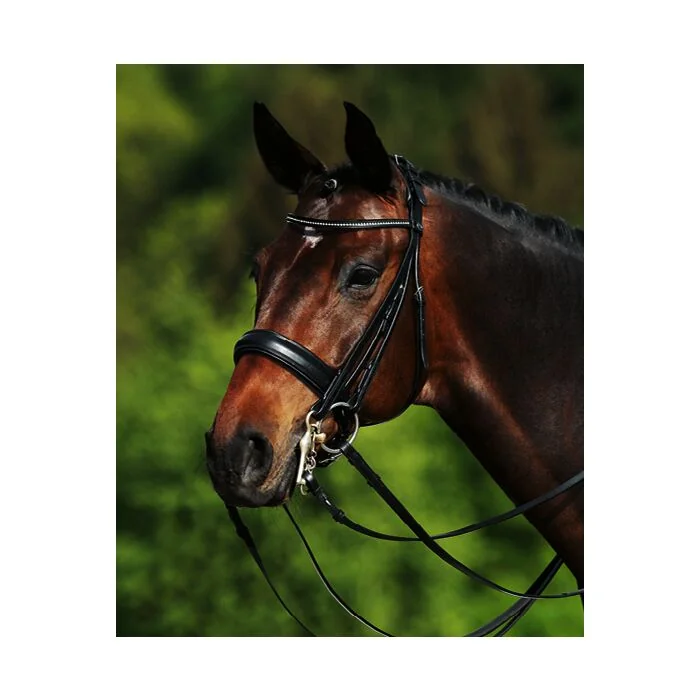 Passier Stang en Trens Hoofdstel Hubertus Schmidt