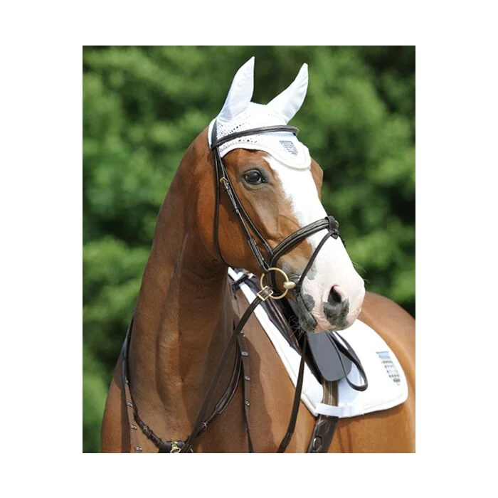 Passier Hoofdstel Marcus Ehning