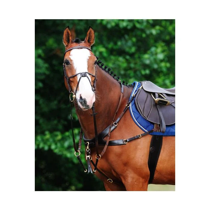 Passier Auriga Voortuig