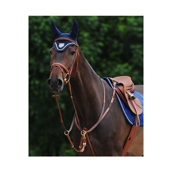 Passier Phoenix Voortuig