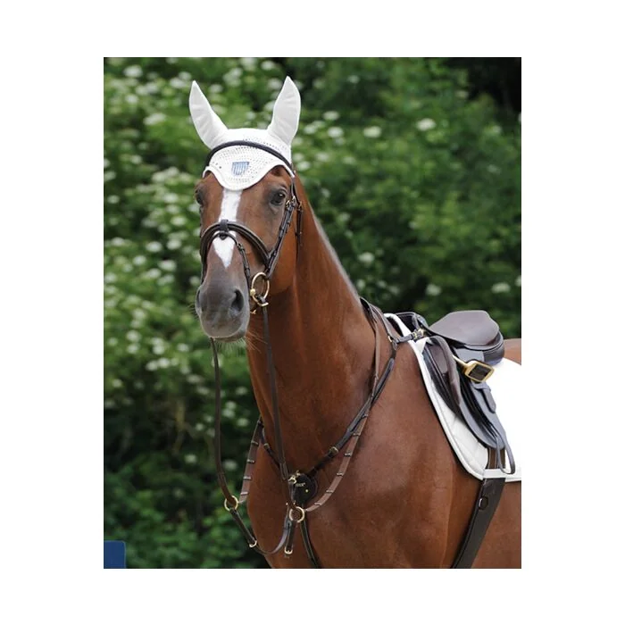 Passier Marcus Ehning Voortuig