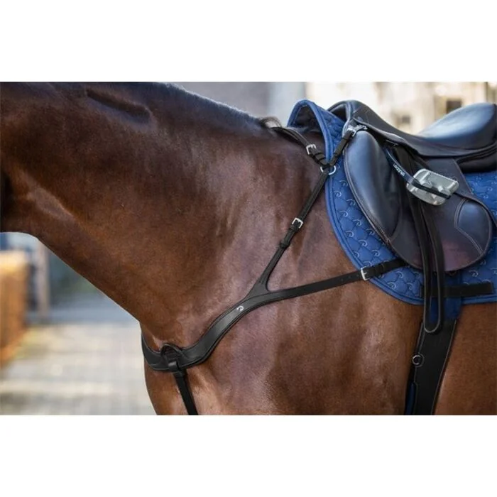 Dy'on Anatomisch Borsttuig