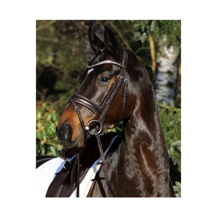 Passier Hoofdstel Apollo