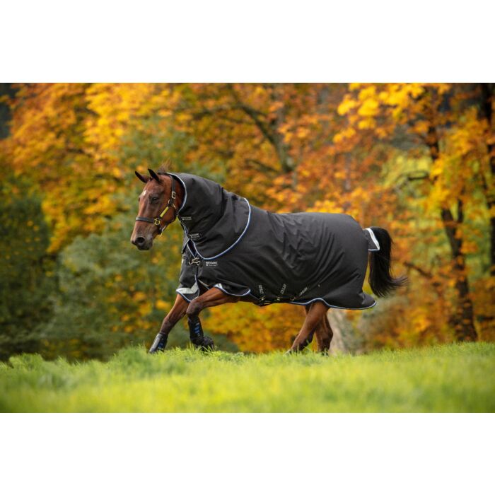 Amigo Bravo-12 Turnout Plus Medium 250 gram Black Strong Blue