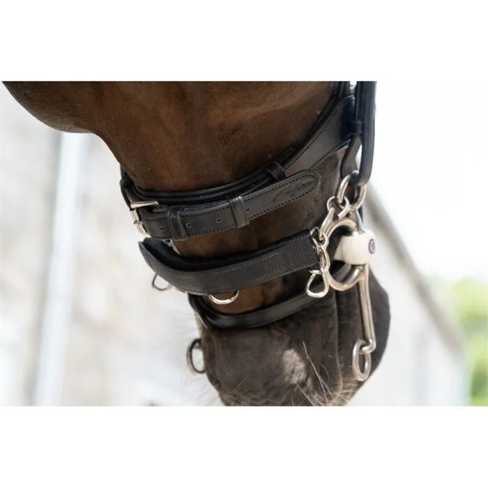 Dy'on Dy'on Chain Protection