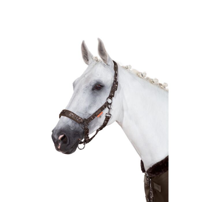 Eskadron Halster Glossy Dessin Platinum Havanabrown