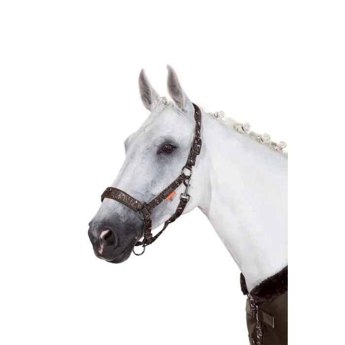 Eskadron Halster Glossy Dessin Platinum Havanabrown