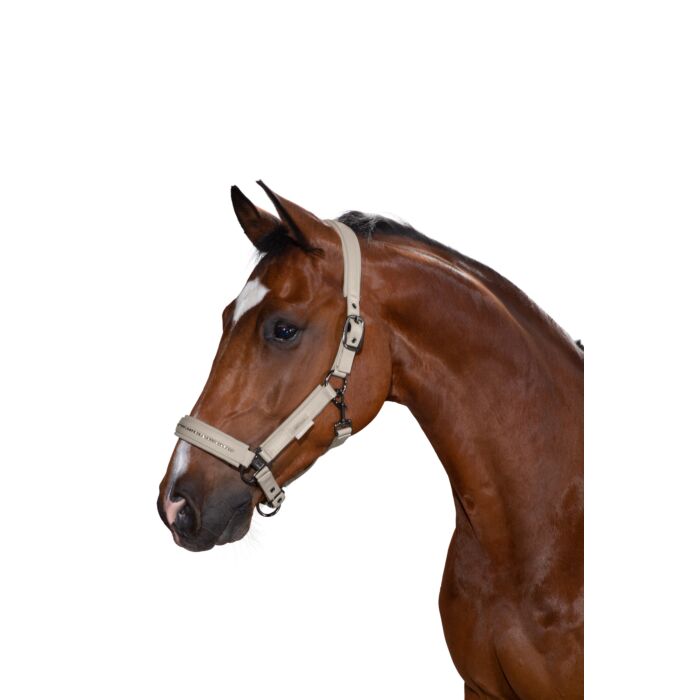 Eskadron Halster Double Pin Crystal Platinum Greige