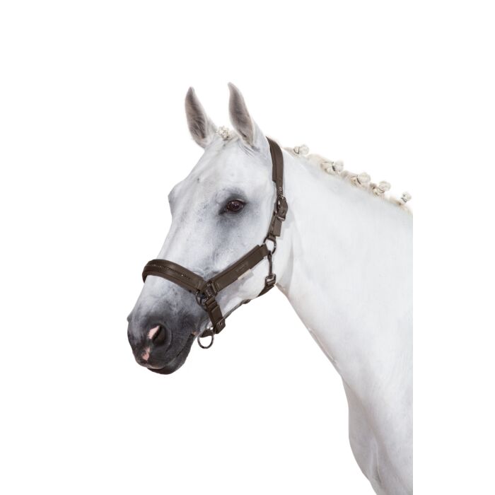 Eskadron Halster Double Pin Crystal Platinum Havanabrown