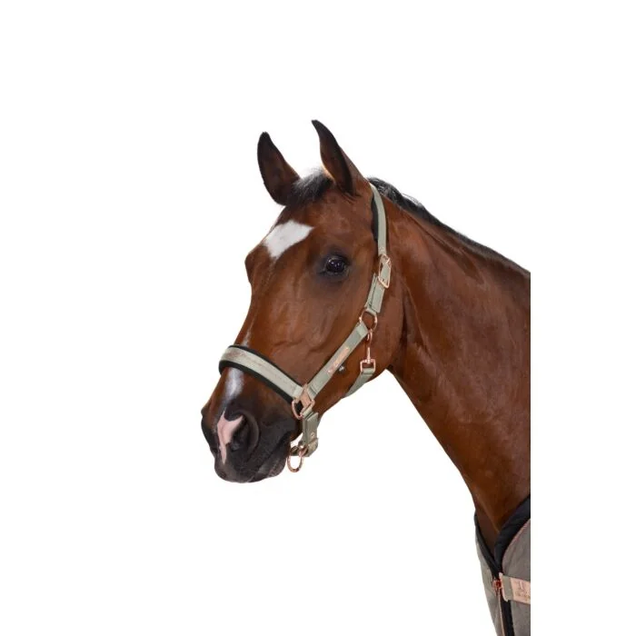 Eskadron Heritage Halster Glossy Double Pin Ivory Grey