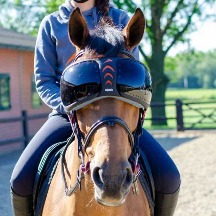 eQquick eVysor Darker