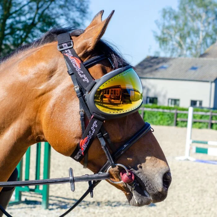 eQquick eVysor Mirrored Orange