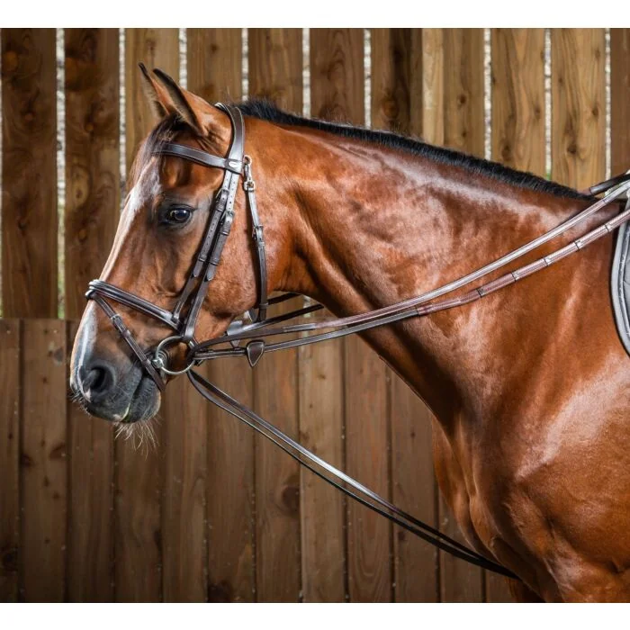 Dy'on Full leather Draw Reins