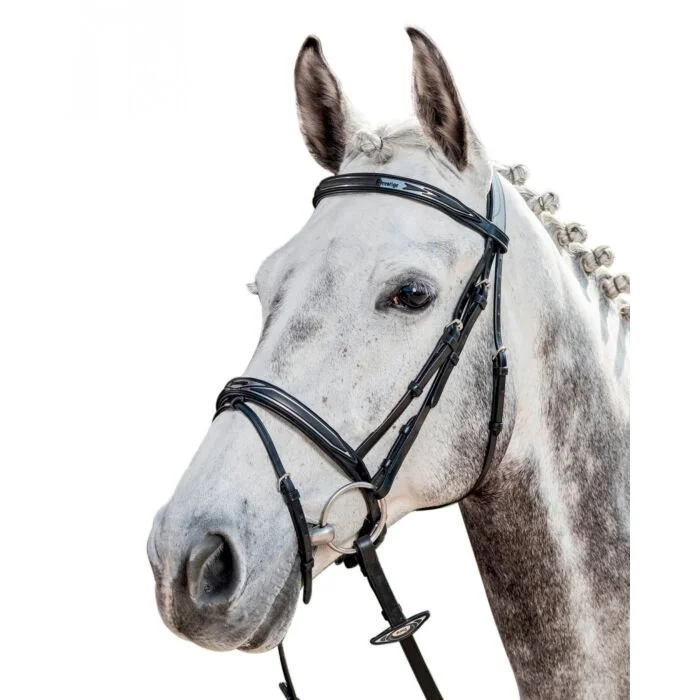 Prestige Hoofdstel E101