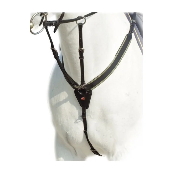 Prestige voortuig Special Jump D41