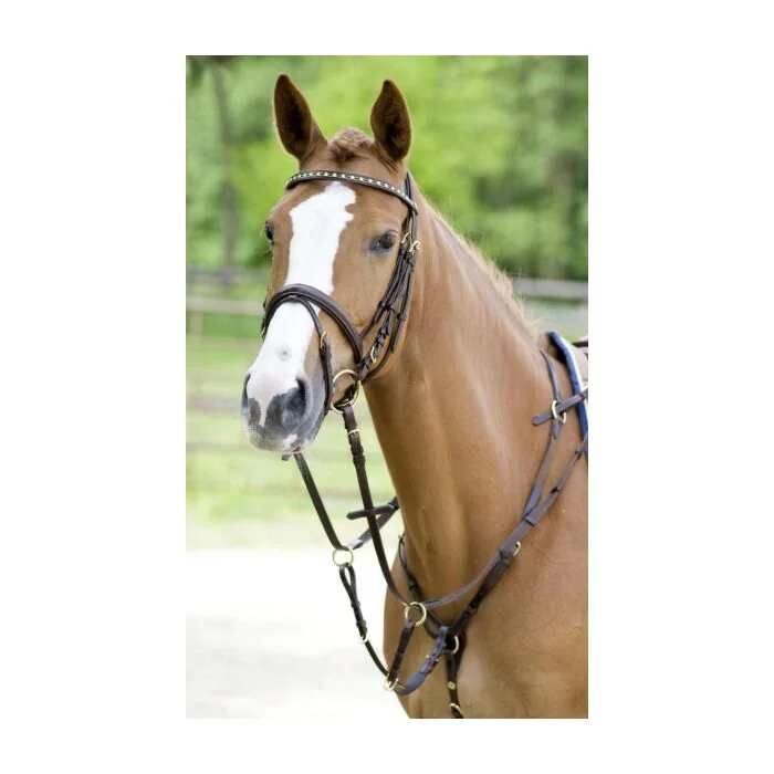 Schockemöhle elastisch voortuig Race II 