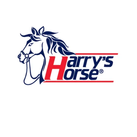 HARRY'S HORSE